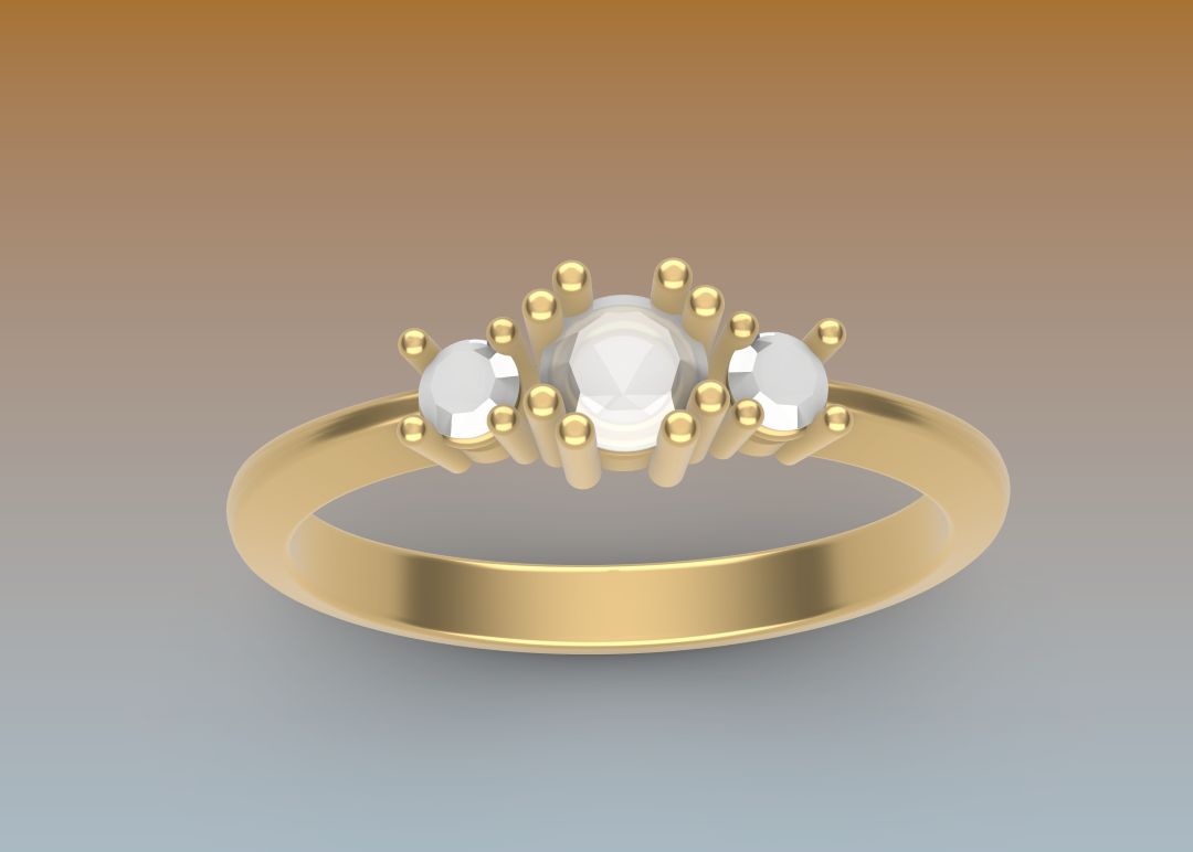 Ein gerenderter 3D-Entwurf des Ringes